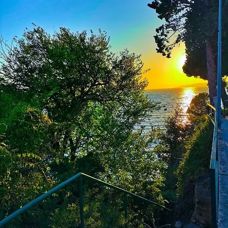 Lukic * ブリスト