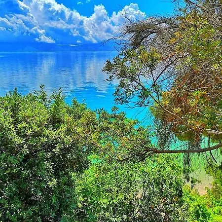 アパート Lukic ブリスト