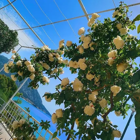 Lukic アパート ブリスト