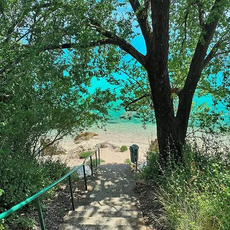 Lukic * ブリスト