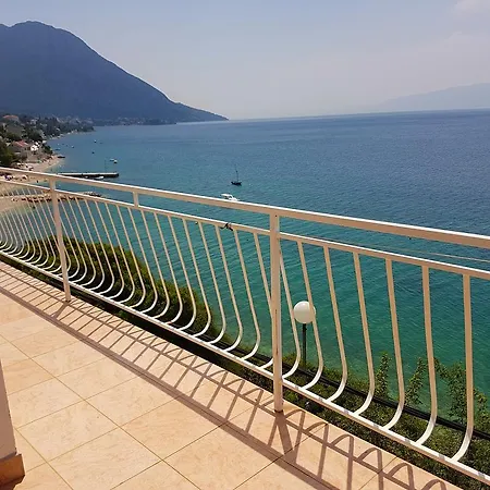 Lukic * ブリスト