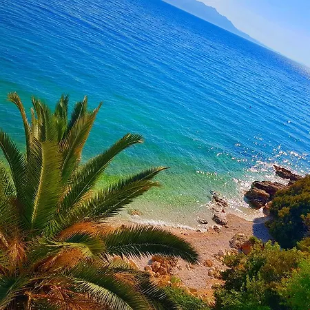 Lukic アパート *