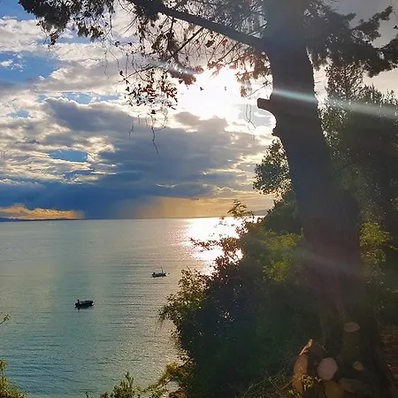 Lukic * ブリスト