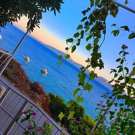 Lukic アパート *