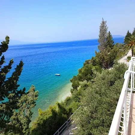 Lukic * ブリスト