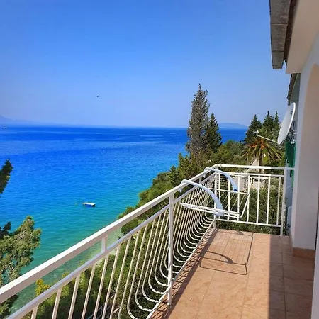 Lukic * ブリスト