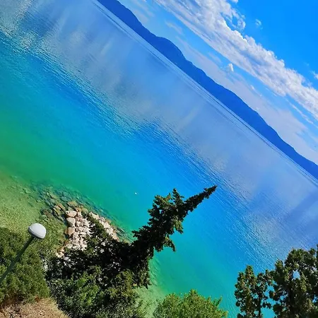Lukic Brist