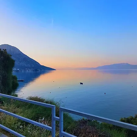 Lukic Apartment Brist