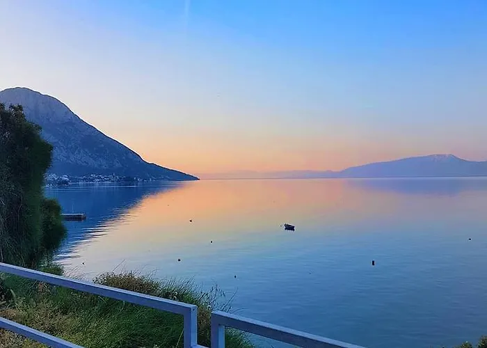 Lukic Lägenhet Brist