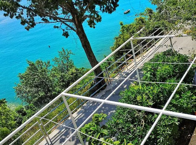 Lukic Lägenhet Brist